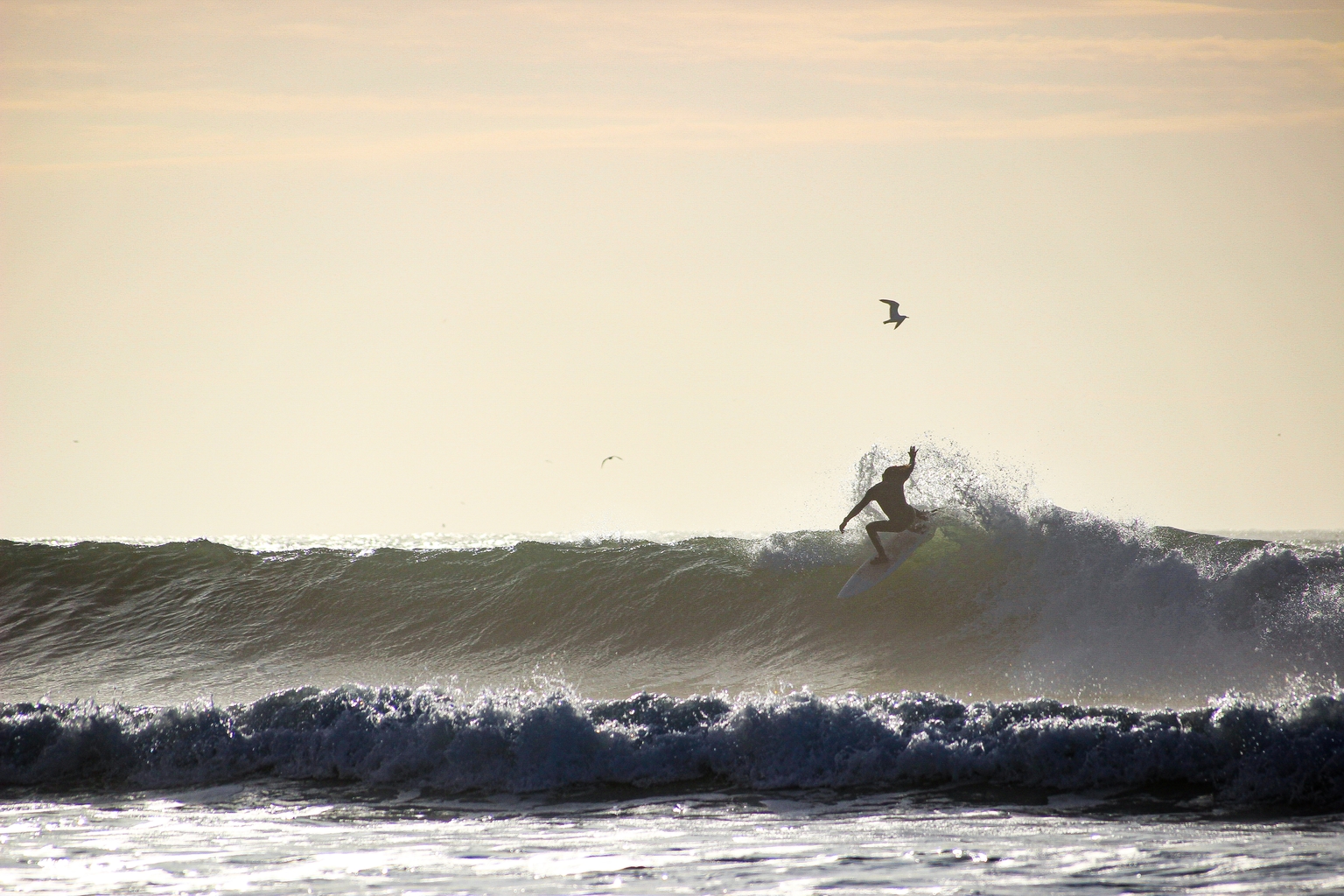 Surfing in Essaouira