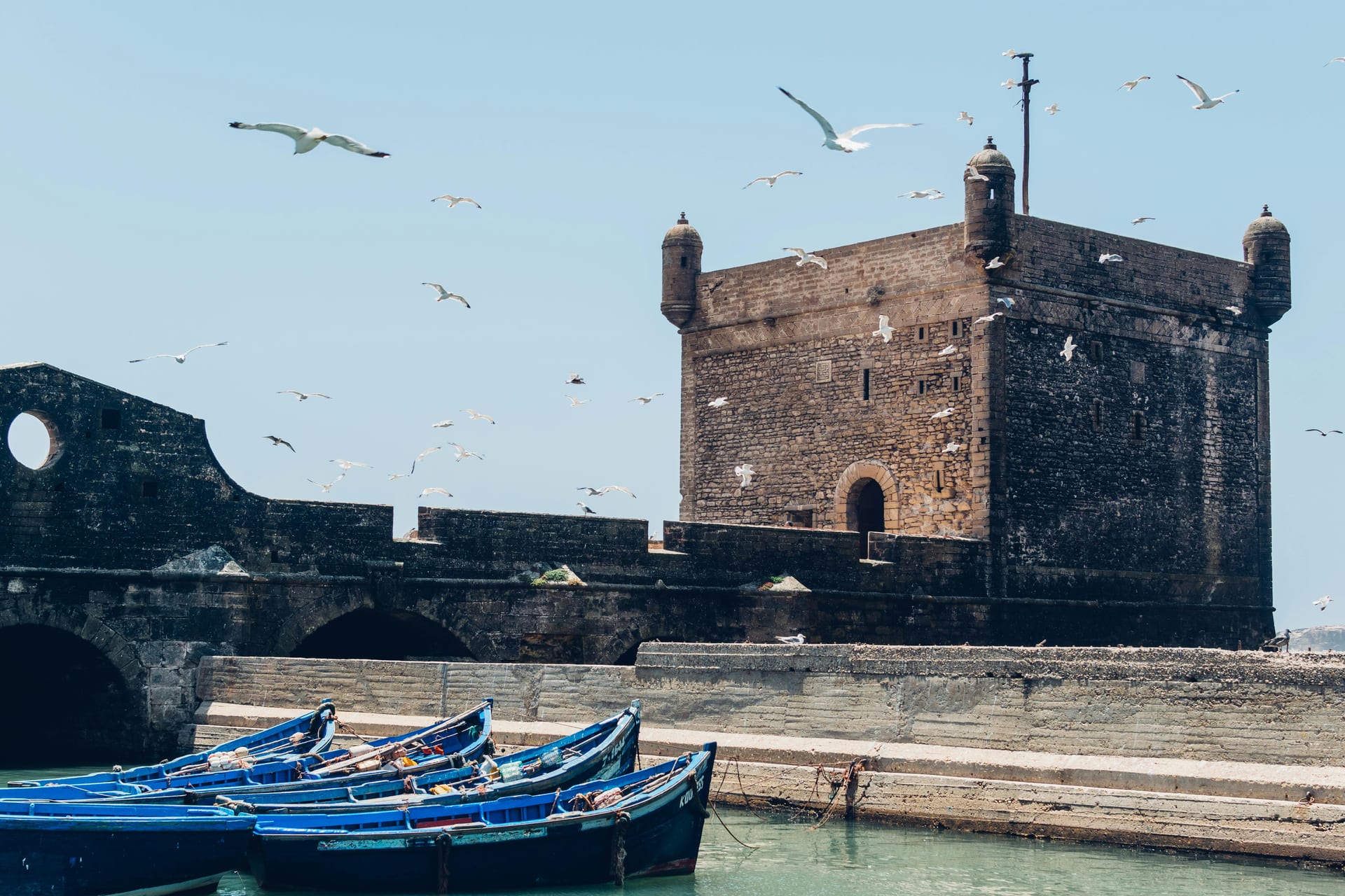 Essaouira Fishing Port: Fresh Seafood and Maritime Life Guide