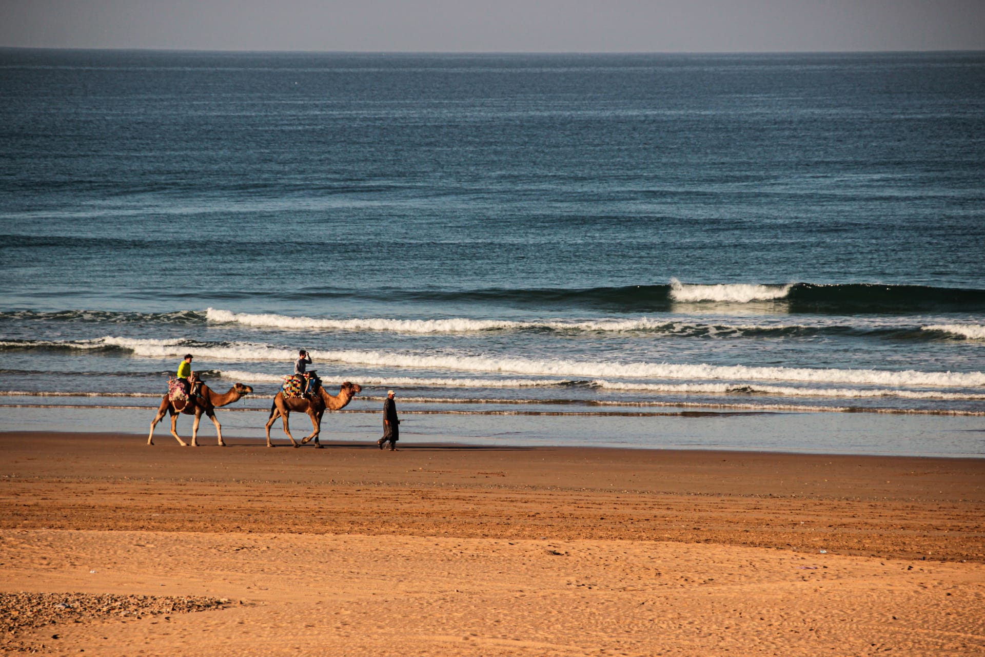 Digital Nomad Guide to Essaouira: Remote Work in Paradise