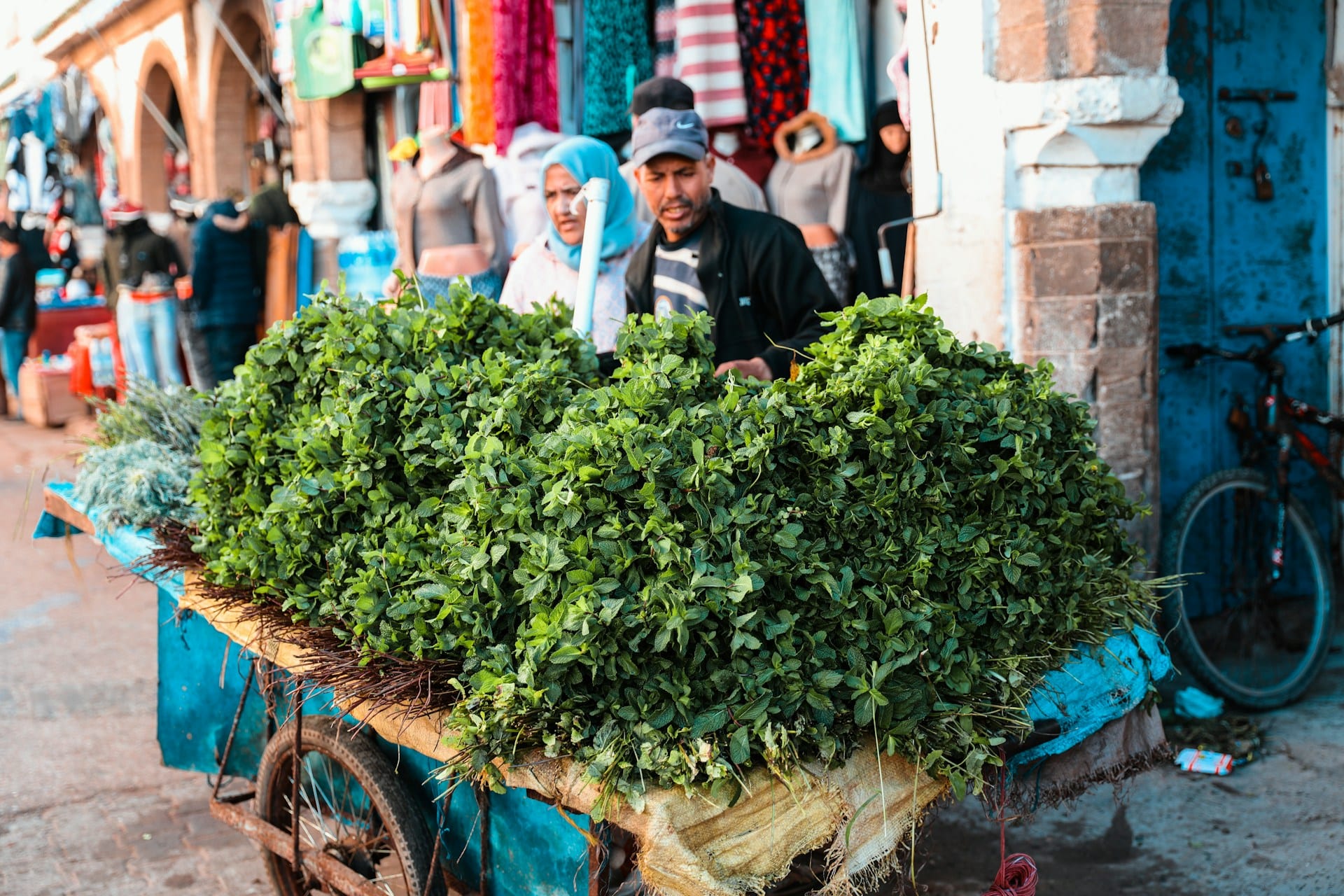 Essaouira Medina Walking Tour: Navigate the UNESCO World Heritage Kasbah